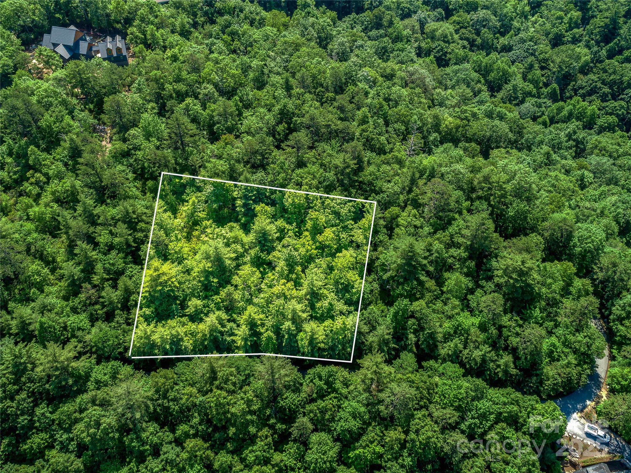 Tbd Quartz Mine Road Lake Toxaway, NC 28747 - Photo 2 of 26 a view of a yard