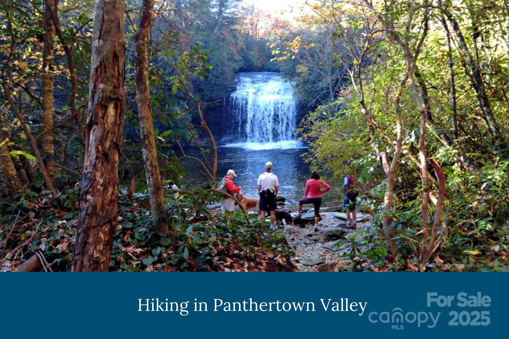 Tbd Quartz Mine Road Lake Toxaway, NC 28747 - Photo 22 of 26 a view of a beautiful flowers