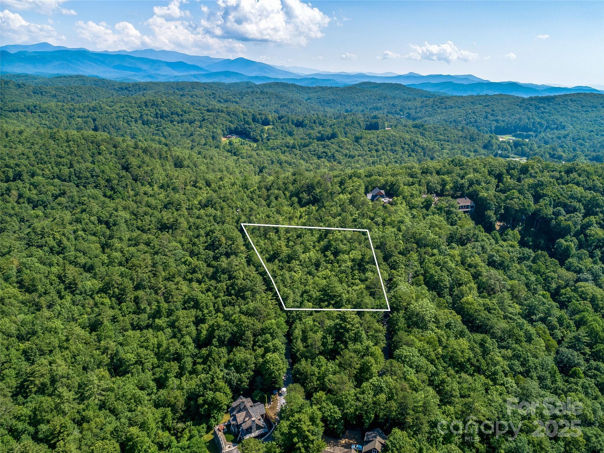 Tbd Quartz Mine Road Lake Toxaway, NC 28747 - Photo 3 of 26 a view of a lush green forest with lots of trees
