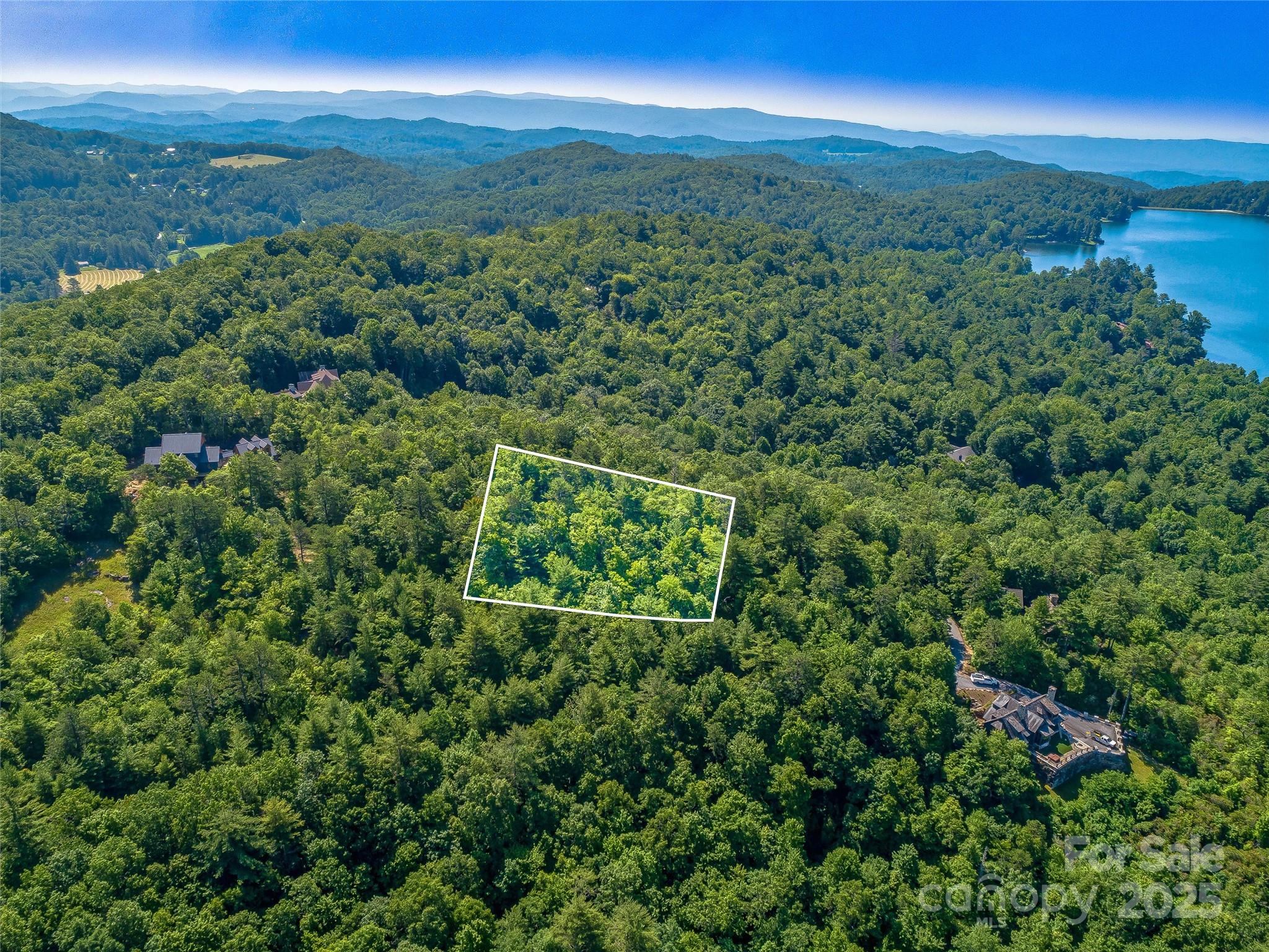 Tbd Quartz Mine Road Lake Toxaway, NC 28747 - Photo 4 of 26 view of a green field with lots of bushes