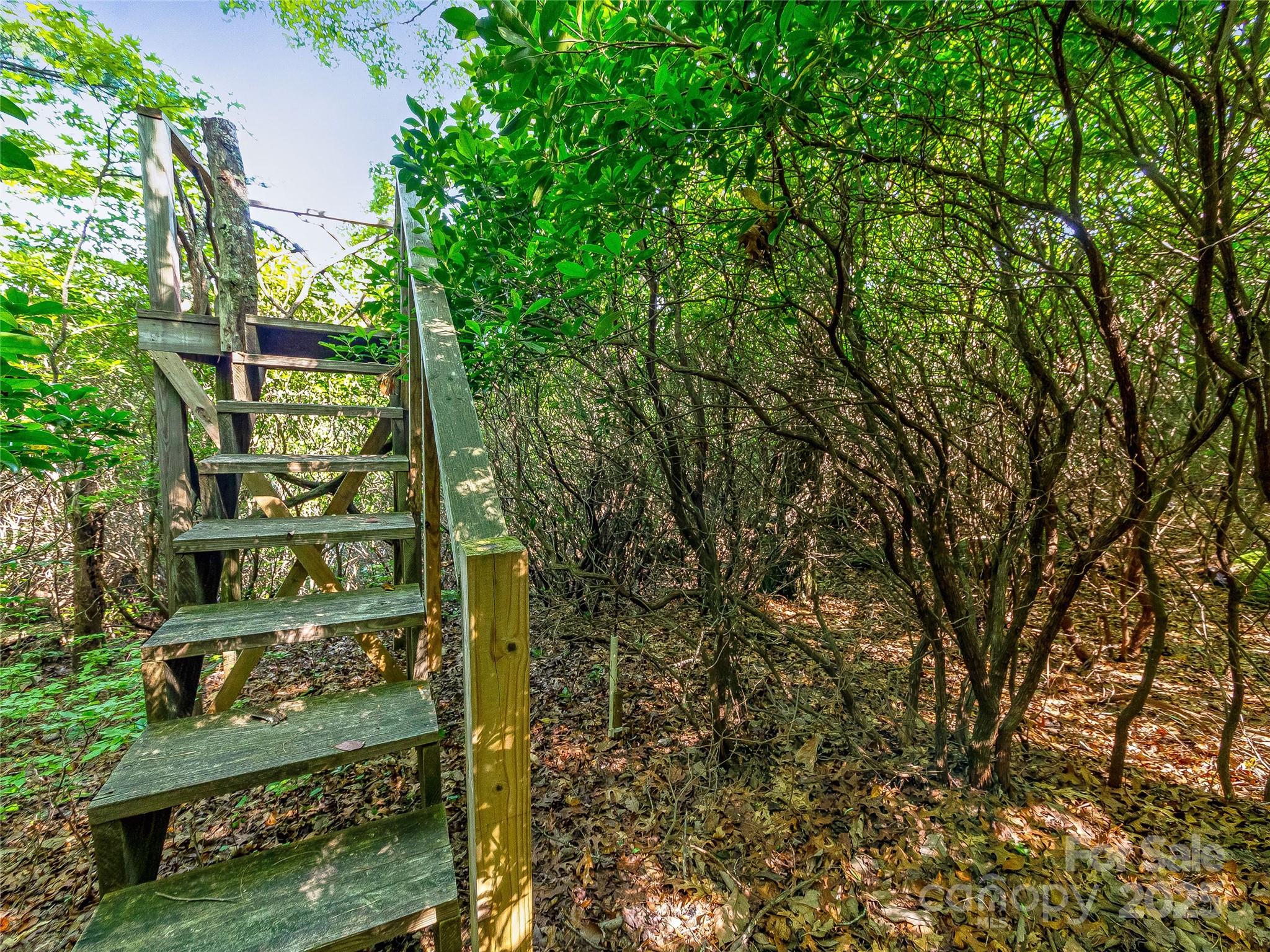 Tbd Quartz Mine Road Lake Toxaway, NC 28747 - Photo 5 of 26