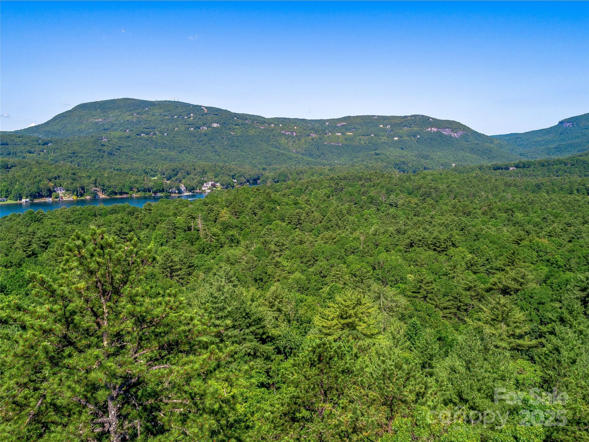 Tbd Quartz Mine Road Lake Toxaway, NC 28747 - Photo 7 of 26 a view of a mountain range with lush green hillside