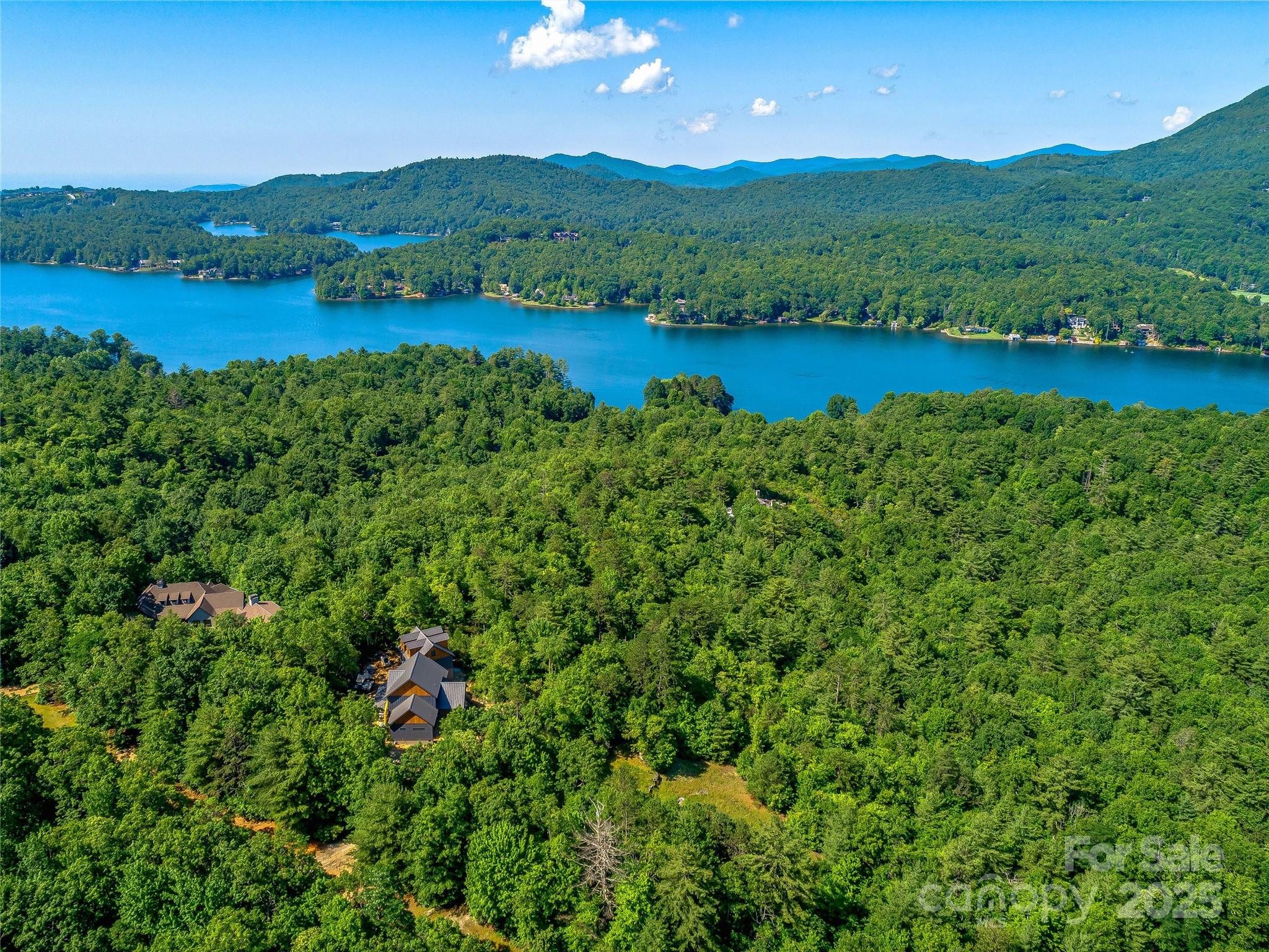 Tbd Quartz Mine Road Lake Toxaway, NC 28747 - Photo 8 of 26 a view of a lush green hillside and houses