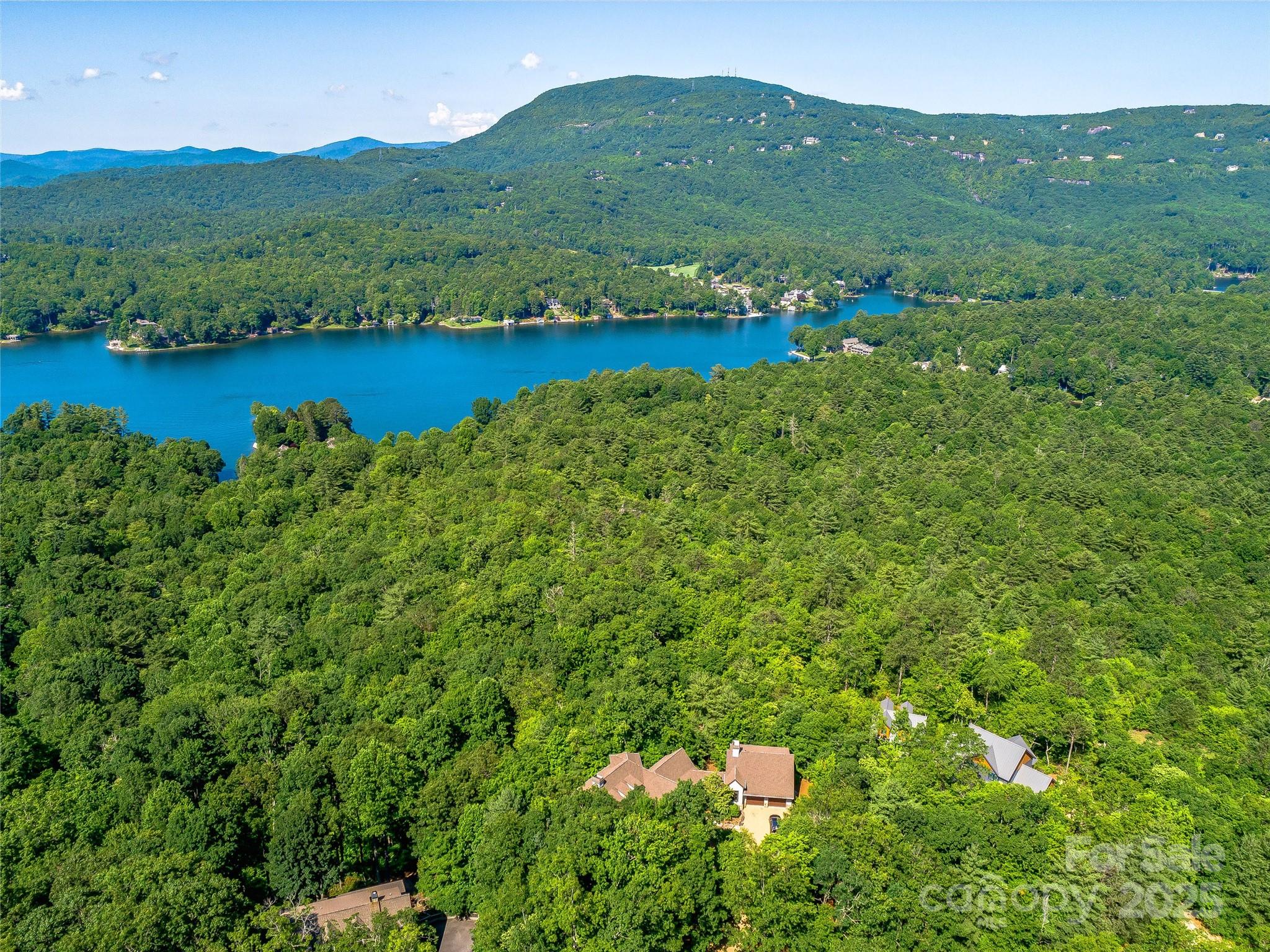 Tbd Quartz Mine Road Lake Toxaway, NC 28747 - Photo 9 of 26 a view of a lush green hillside and houses