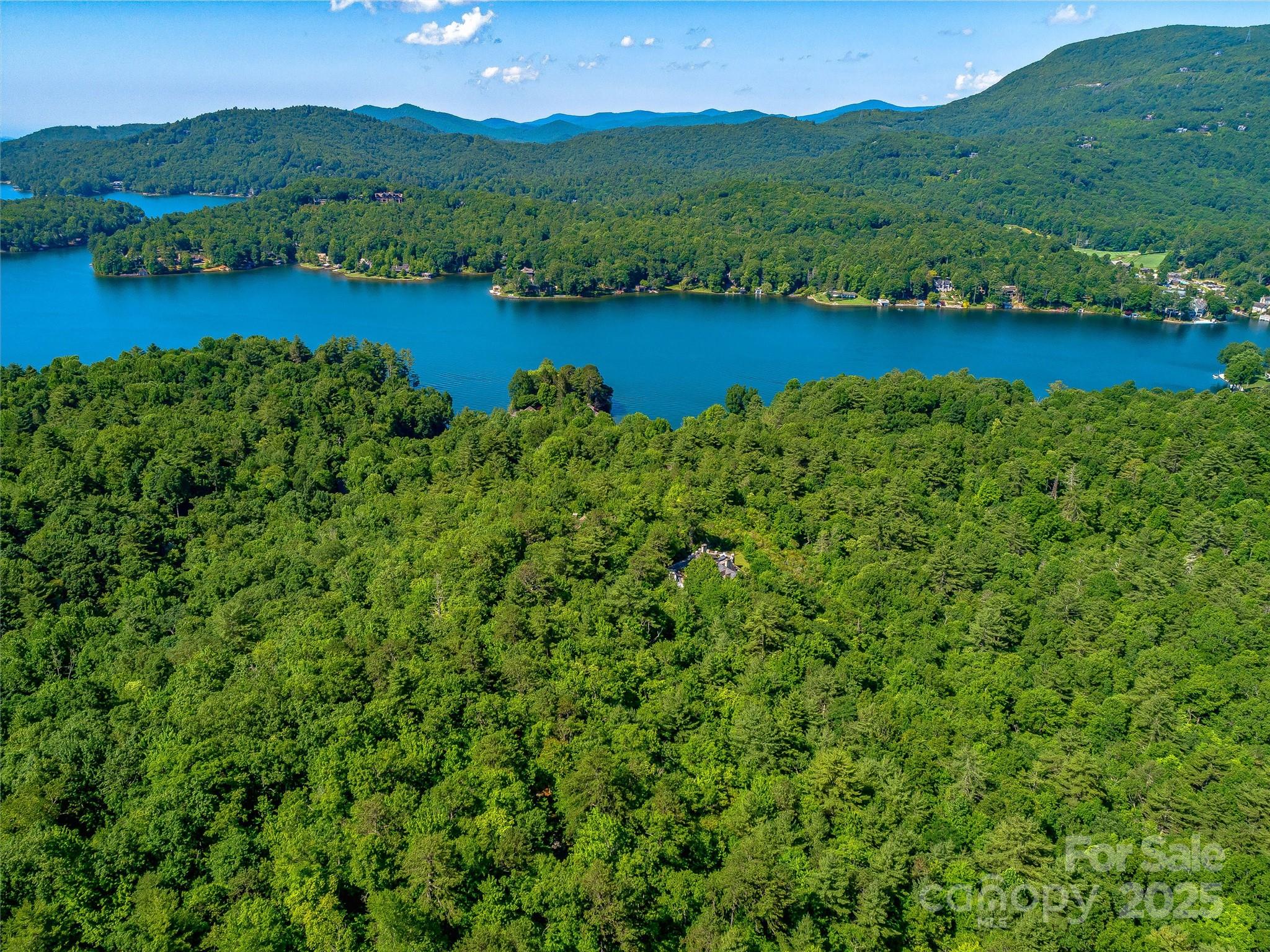 Tbd Quartz Mine Road Lake Toxaway, NC 28747 - Photo 10 of 26 an aerial view of lake with residential houses with outdoor space and lake view