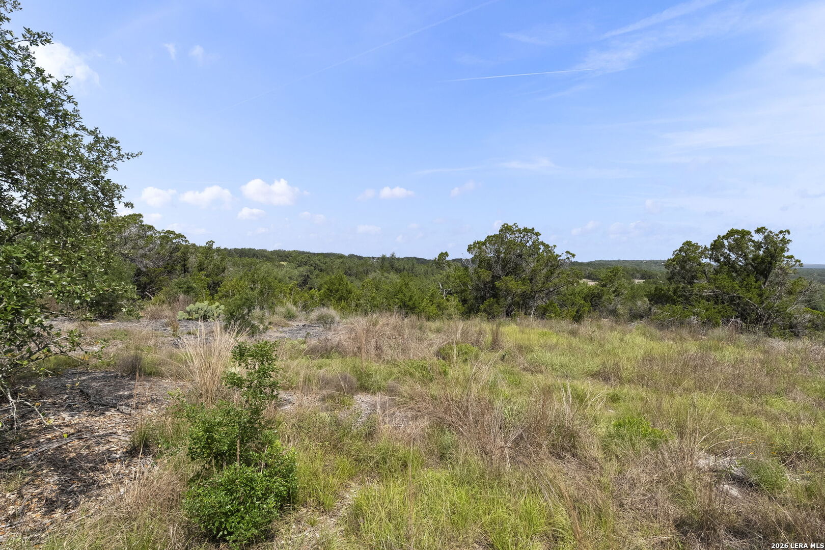 341 Mitchell Drive Spring Branch, TX 78070 - Photo 6 of 33