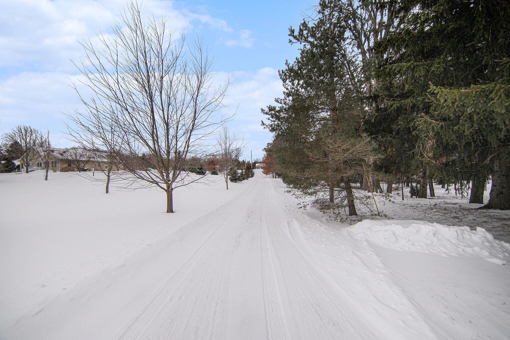 4387 East Berry Road Pleasant Lake, MI 49272 - Photo 30 of 31 27