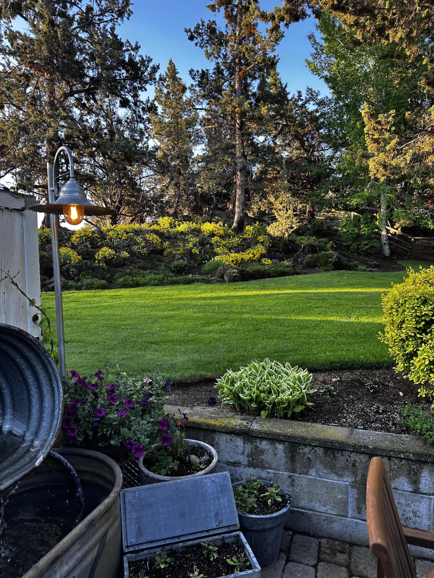 22539 Martee Lane Bend, OR 97701 - Photo 29 of 54 a view of a garden with plants and large trees