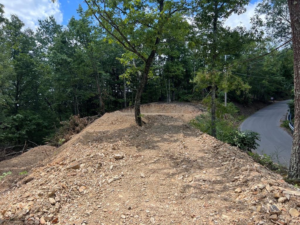 861 Lloyd Huskey Road Pigeon Forge, TN 37863 - Photo 6 of 9