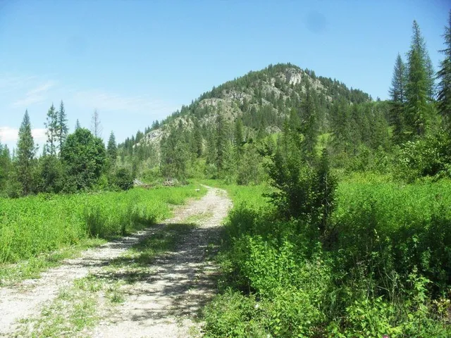 $1,110,000 | 3850 North N Highway, Northport, WA 99157