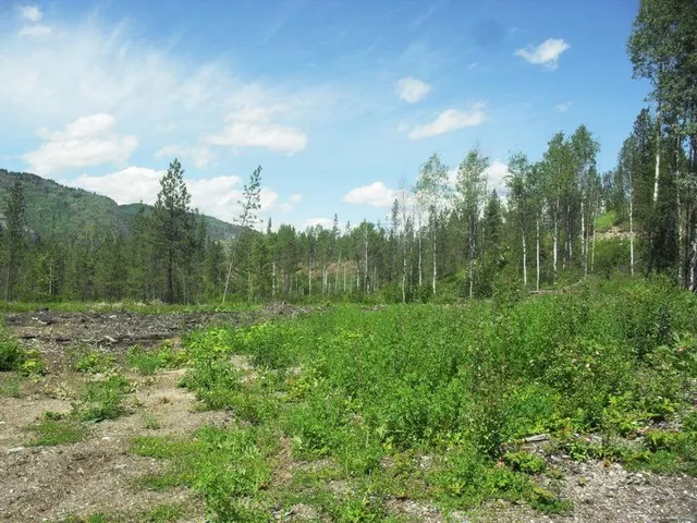 $1,110,000 | 3850 North N Highway, Northport, WA 99157