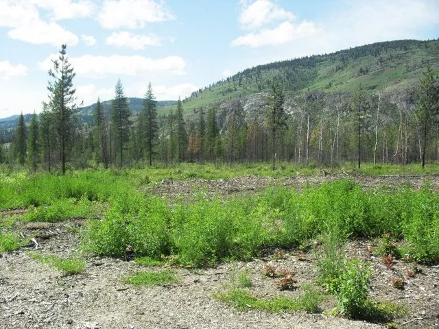 $1,110,000 | 3850 North N Highway, Northport, WA 99157