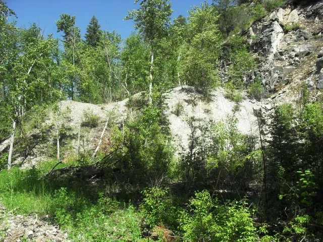 $1,110,000 | 3850 North N Highway, Northport, WA 99157