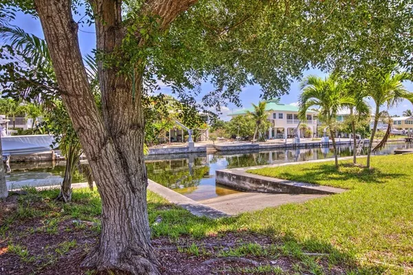 a plant that is sitting in front of a house