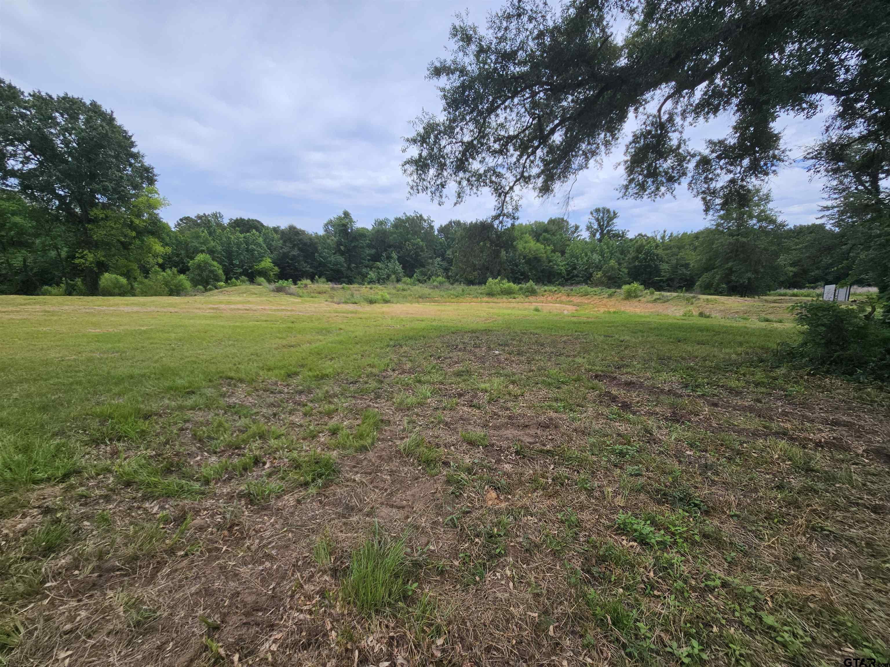 4644 Giraffe Road Gilmer, TX 75644 - Photo 17 of 20