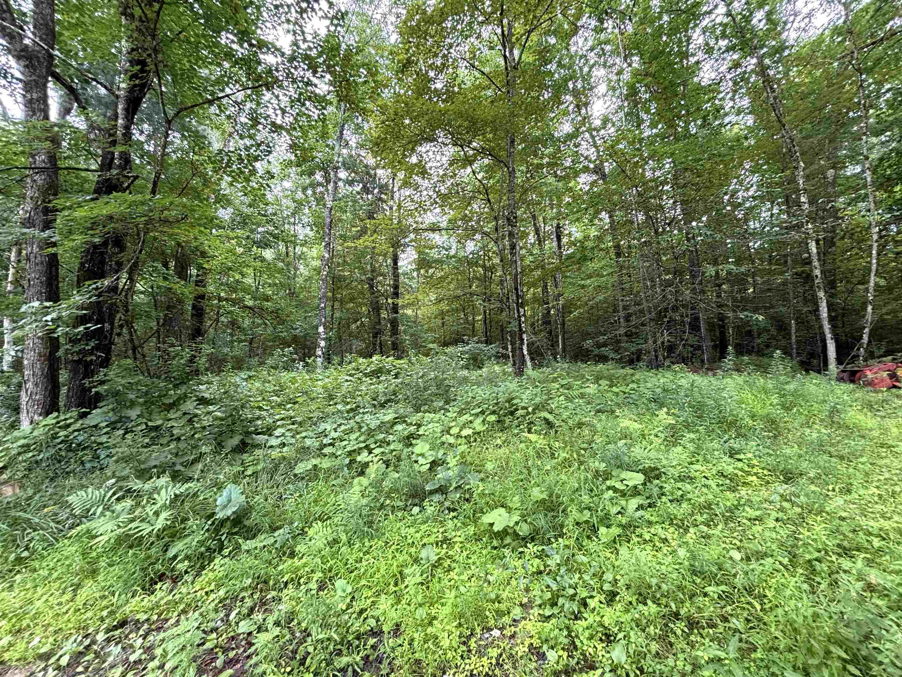 56 Old Tilton Road Canterbury, NH 03224 - Photo 58 of 58 Gallery Image 58