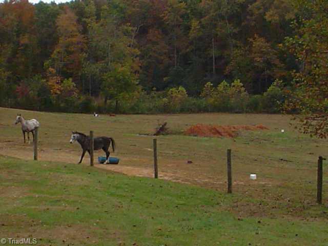 248 Creed Road Ararat, NC 27007 - Photo 9 of 9 Other. Pasture