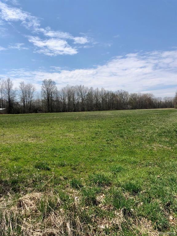21232 Karr Road Belleville, MI 48111 - Photo 3 of 24