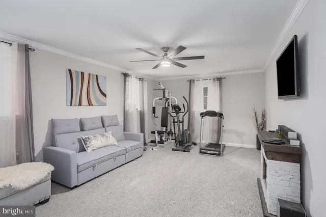 a living room with furniture a ceiling fan and a rug