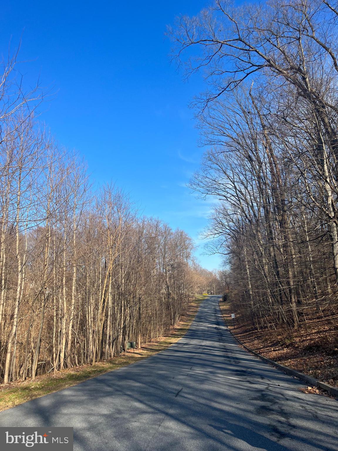 21 Buck Run Road Conestoga, PA 17516 - Photo 2 of 4