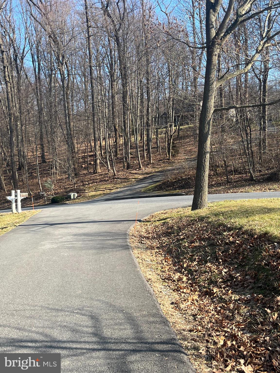 21 Buck Run Road Conestoga, PA 17516 - Photo 3 of 4