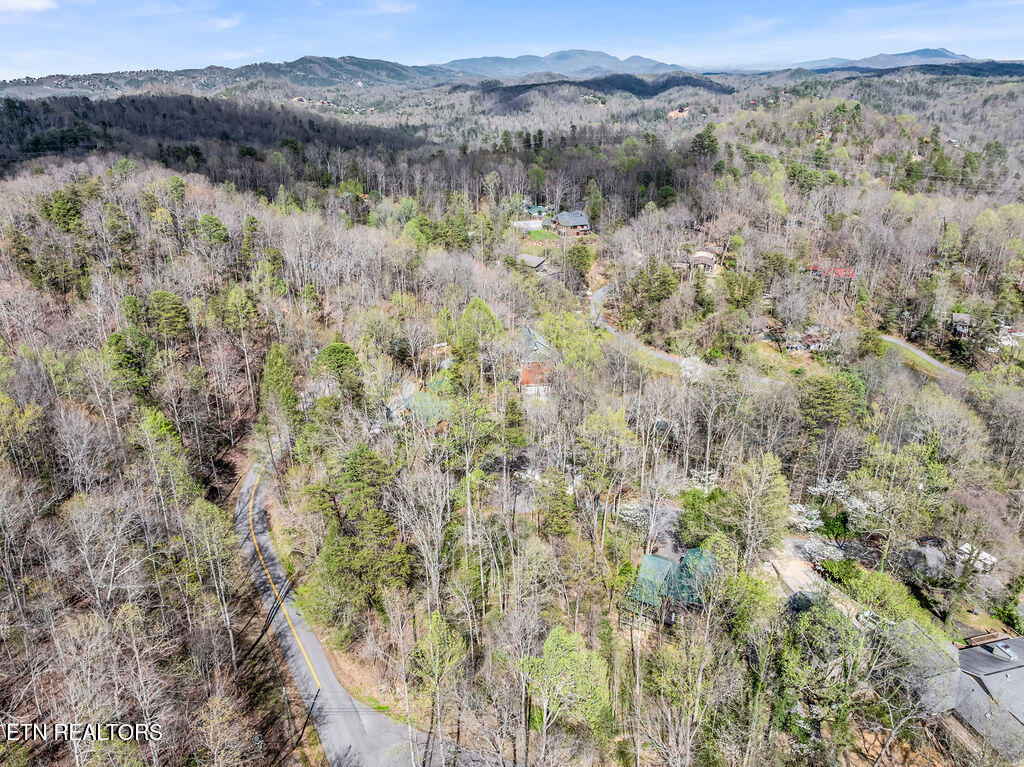 Drone Photo