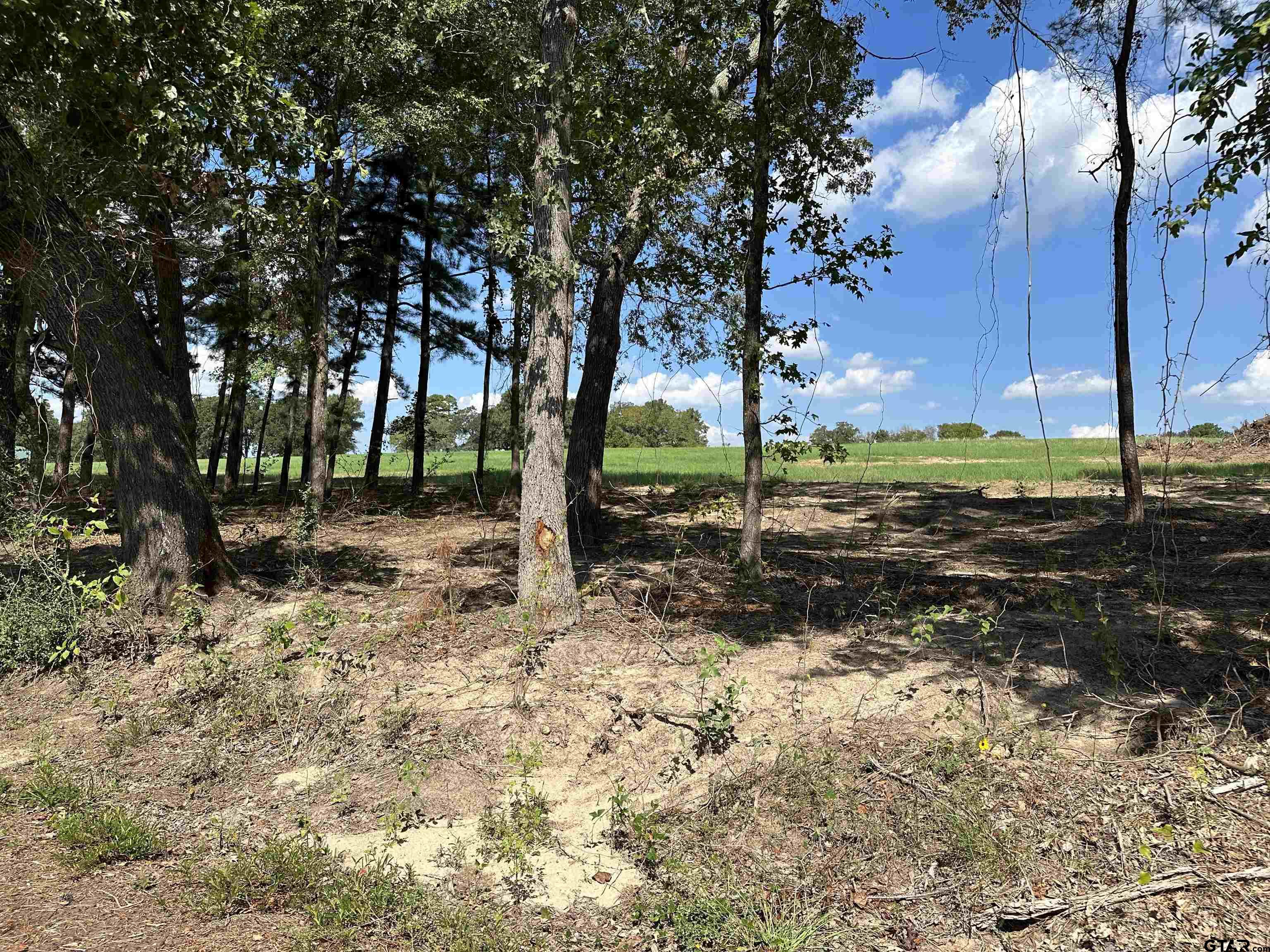 409 D County Road 409D Henderson, TX 75654 - Photo 2 of 9