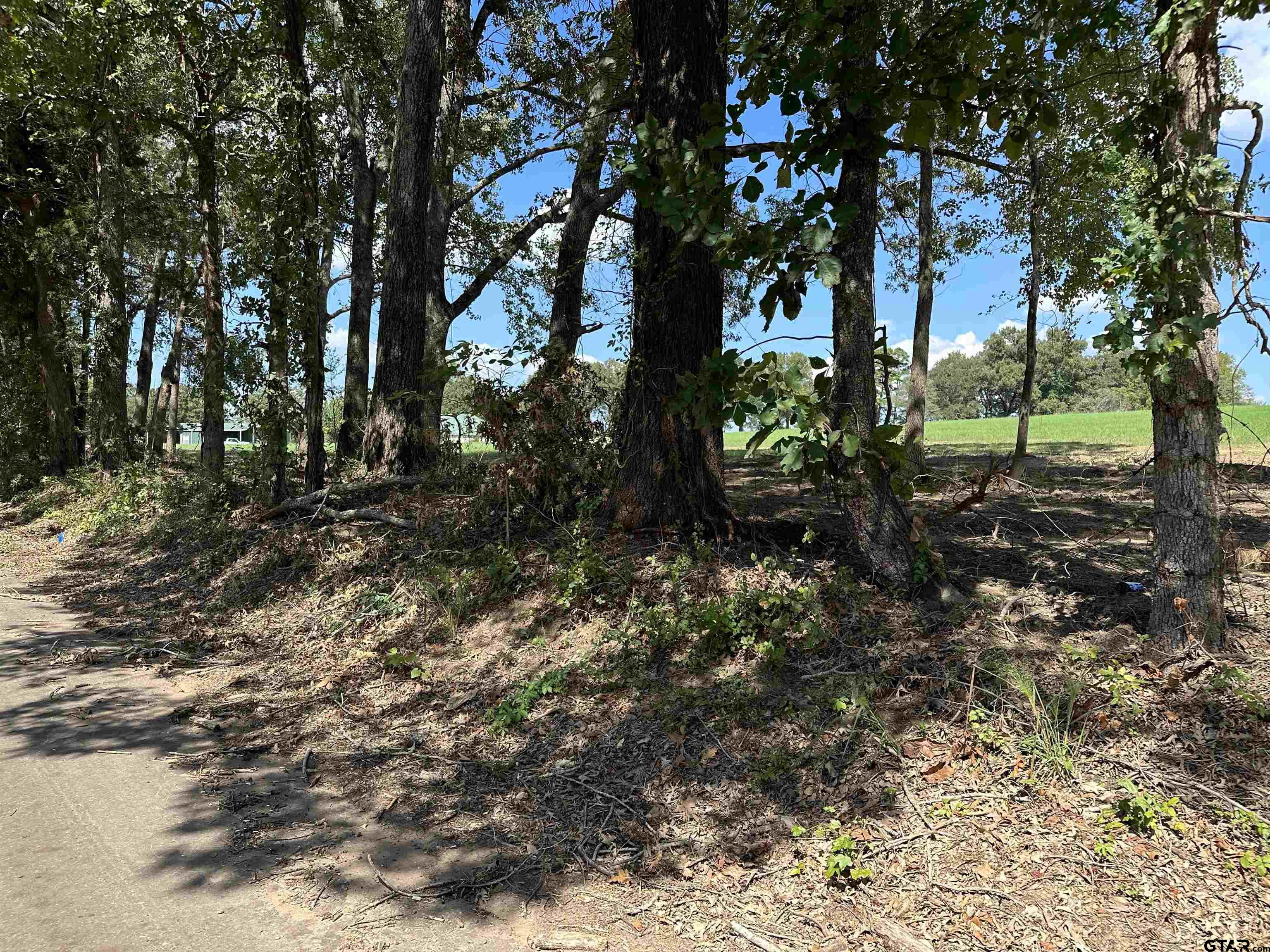 409 D County Road 409D Henderson, TX 75654 - Photo 3 of 9