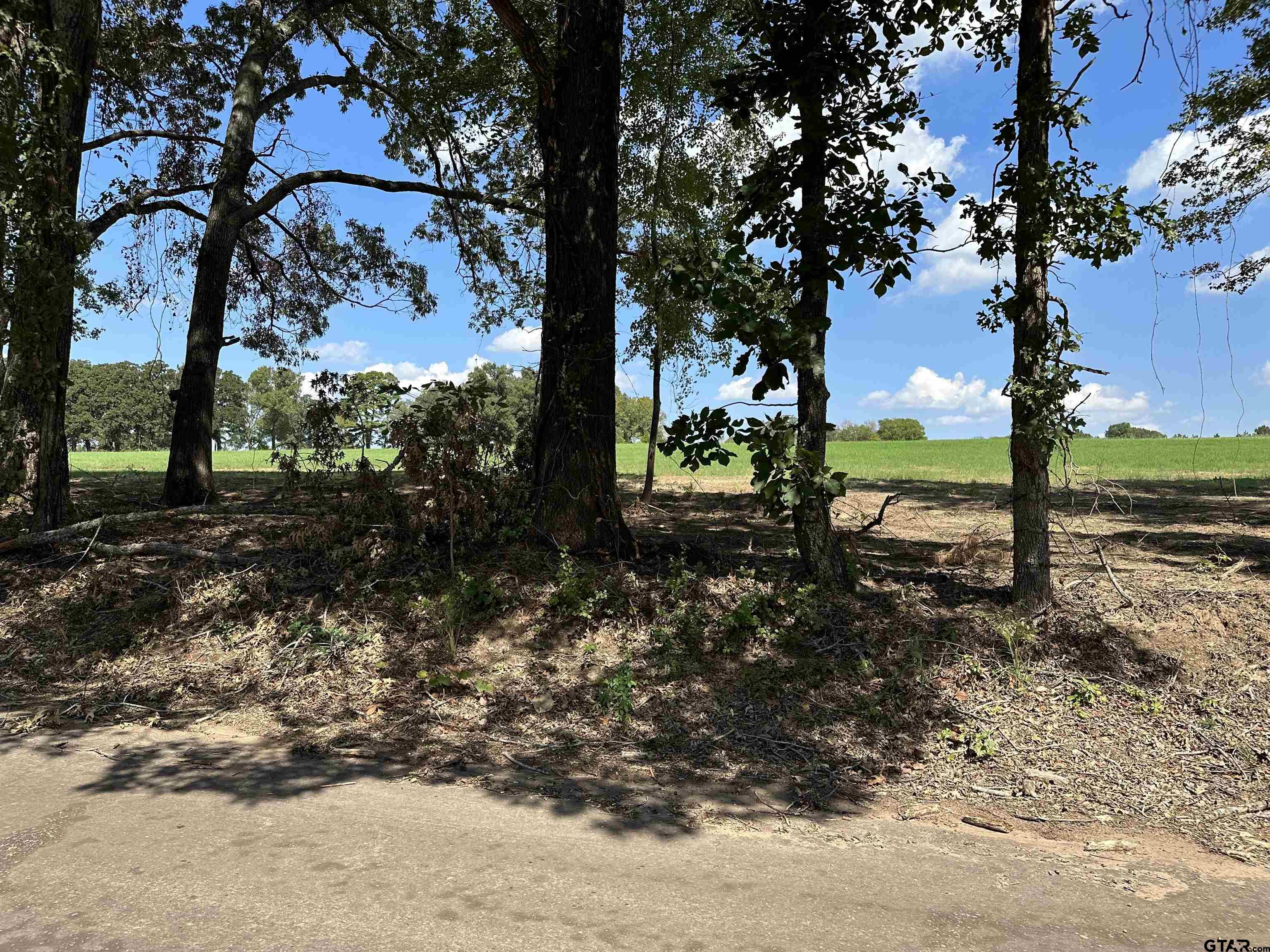 409 D County Road 409D Henderson, TX 75654 - Photo 5 of 9