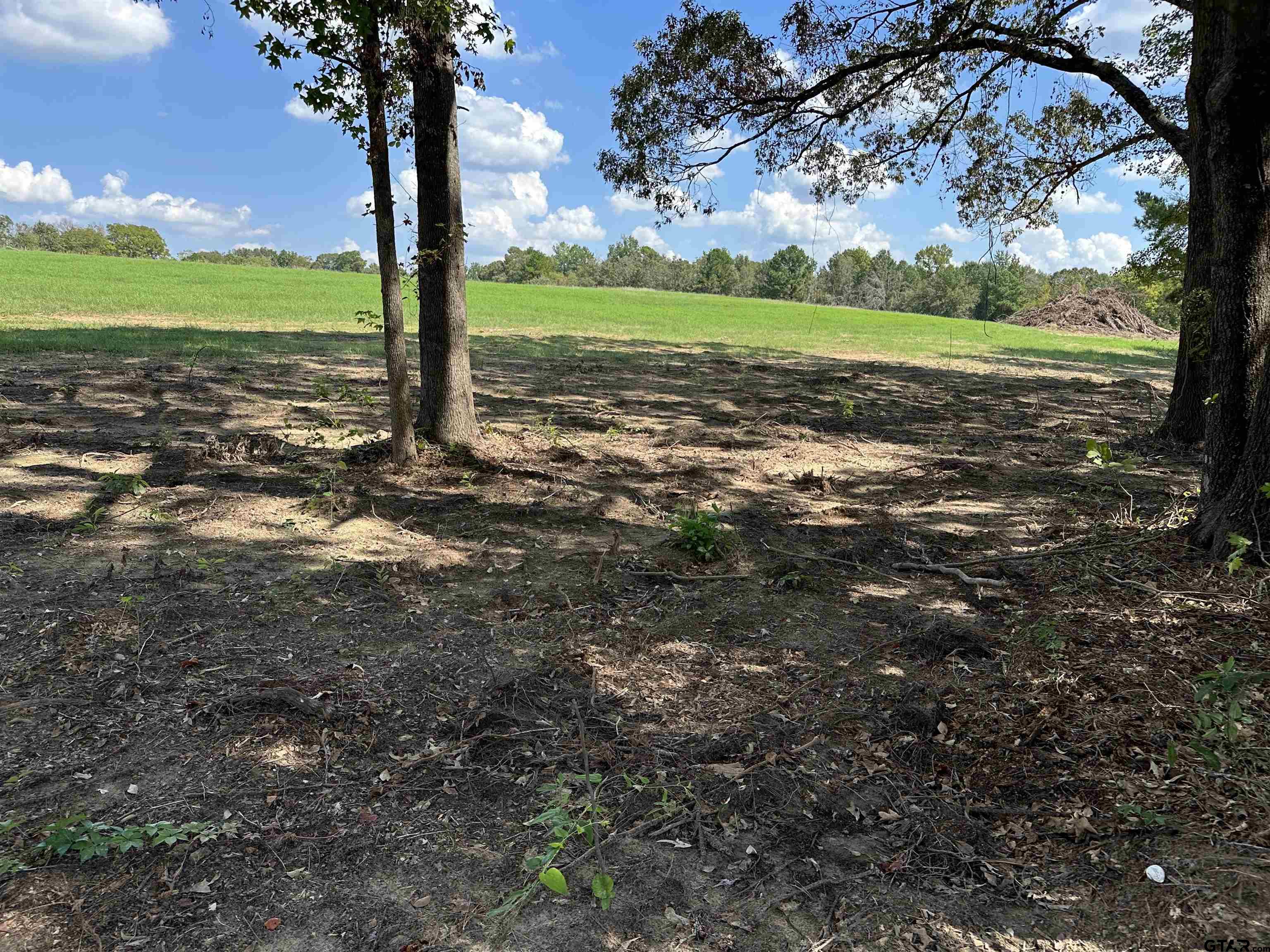 409 D County Road 409D Henderson, TX 75654 - Photo 7 of 9