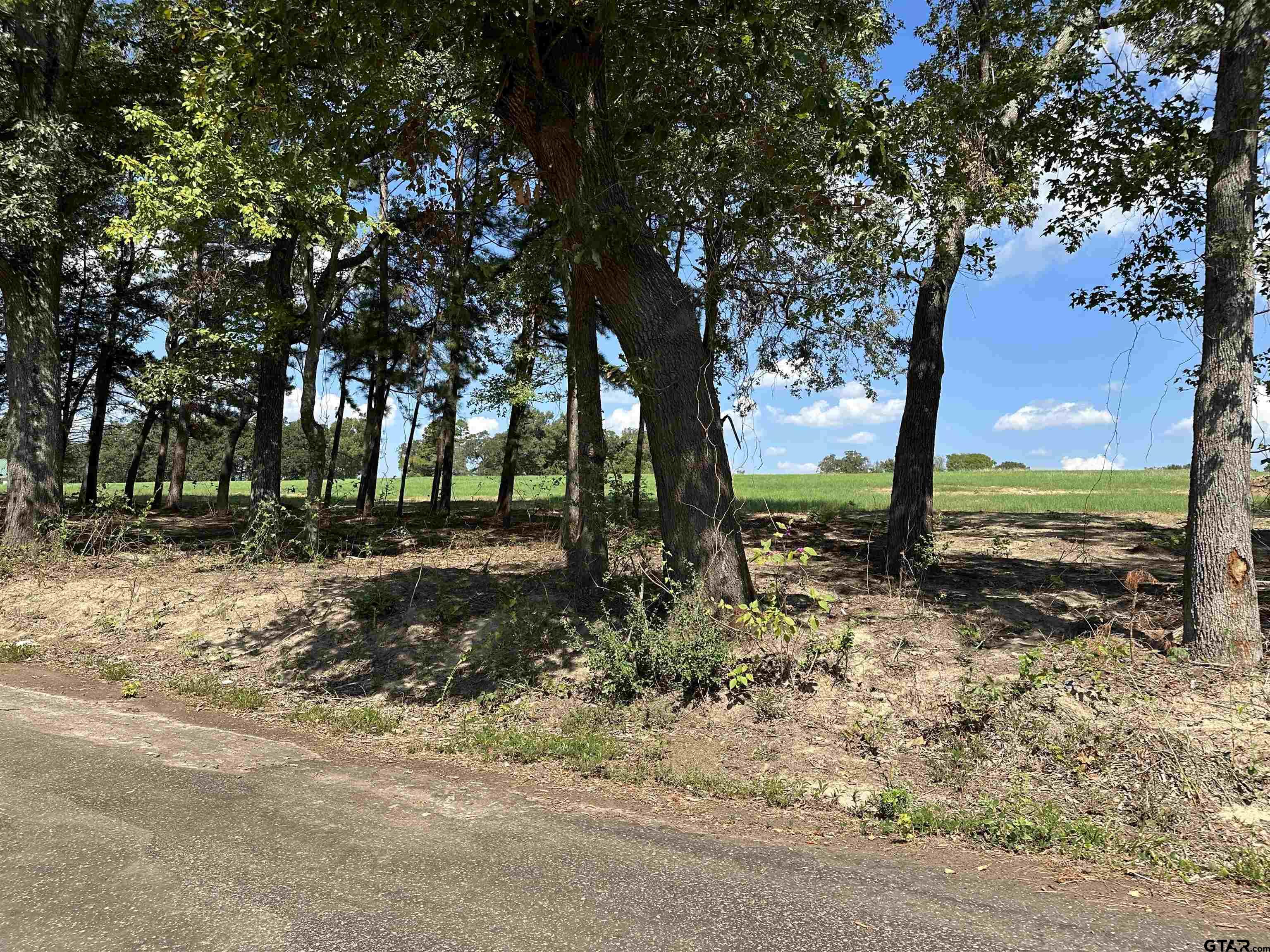 409 D County Road 409D Henderson, TX 75654 - Photo 8 of 9