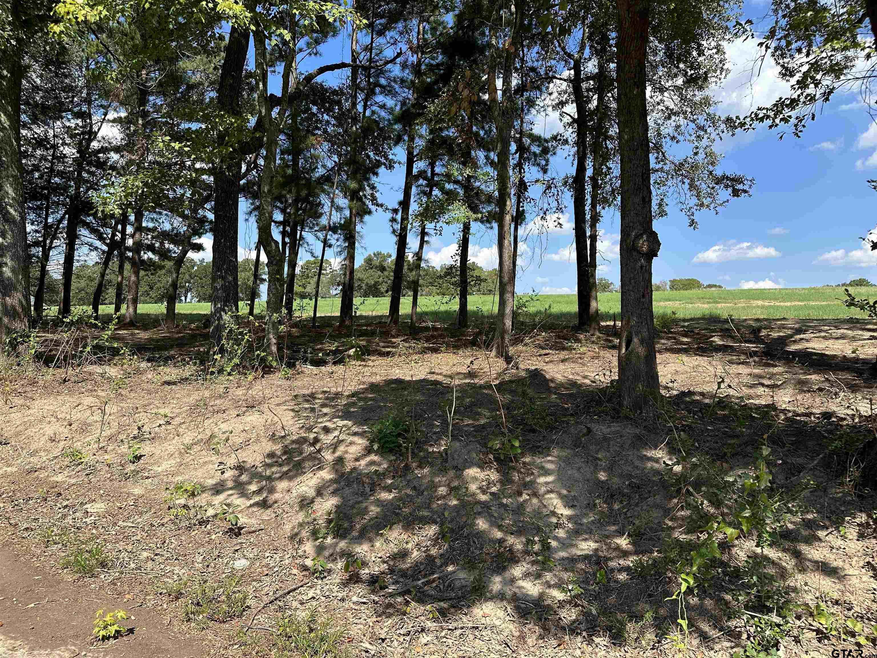 409 D County Road 409D Henderson, TX 75654 - Photo 9 of 9