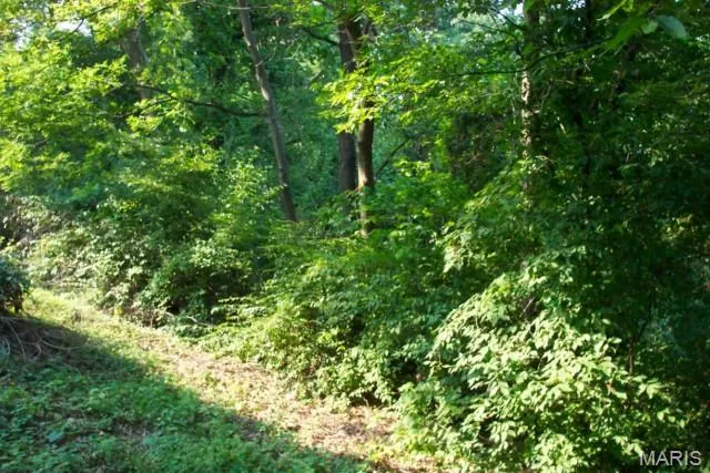 $49,000 | 9835 Valley Drive, Riverview, MO 63137