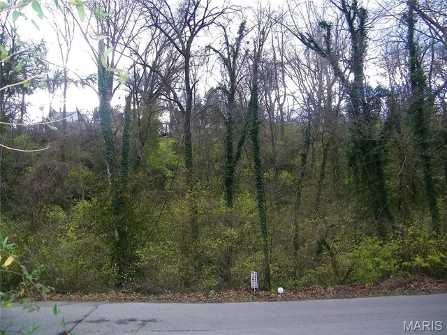 $49,000 | 9835 Valley Drive, Riverview, MO 63137