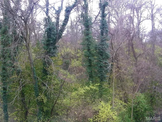 $49,000 | 9835 Valley Drive, Riverview, MO 63137