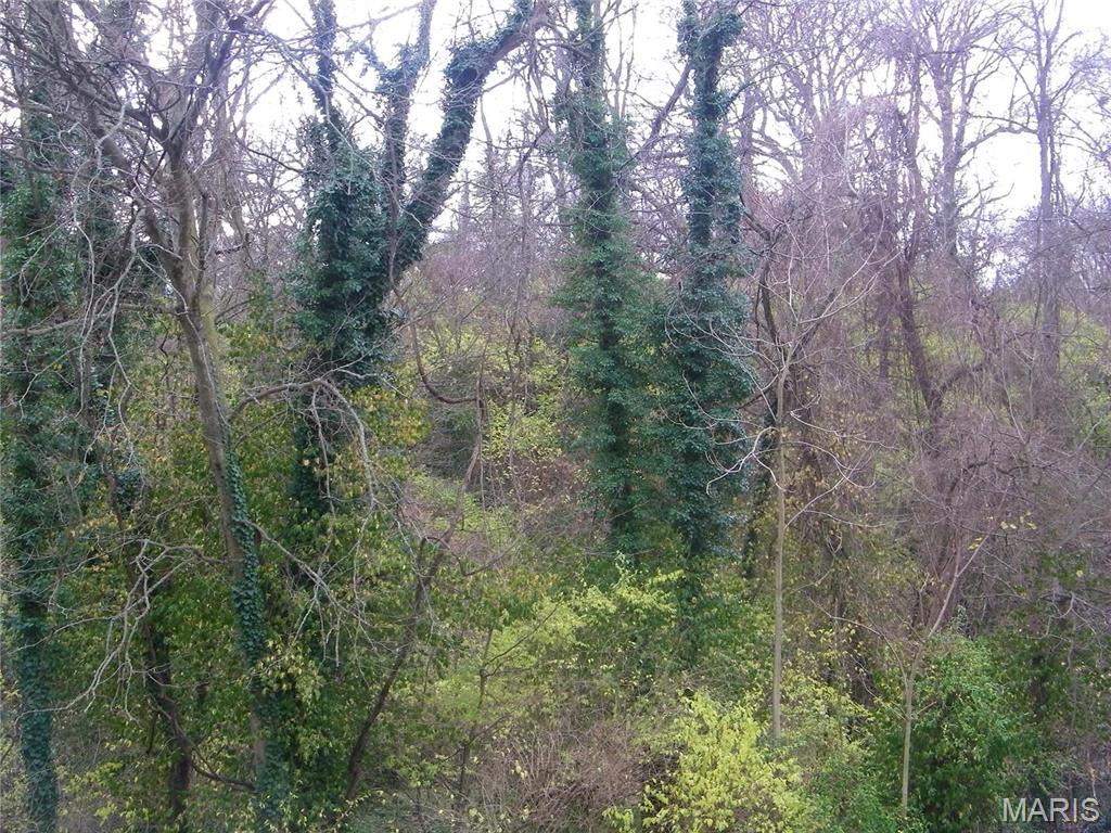 9835 Valley Drive Riverview, MO 63137 - Photo 7 of 7