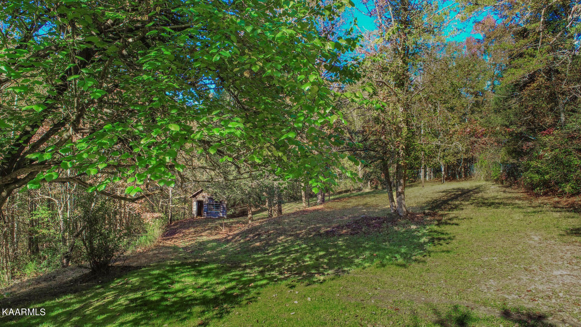 5-acres Rooster Town Road Cosby, TN 37722 - Photo 1 of 38 1