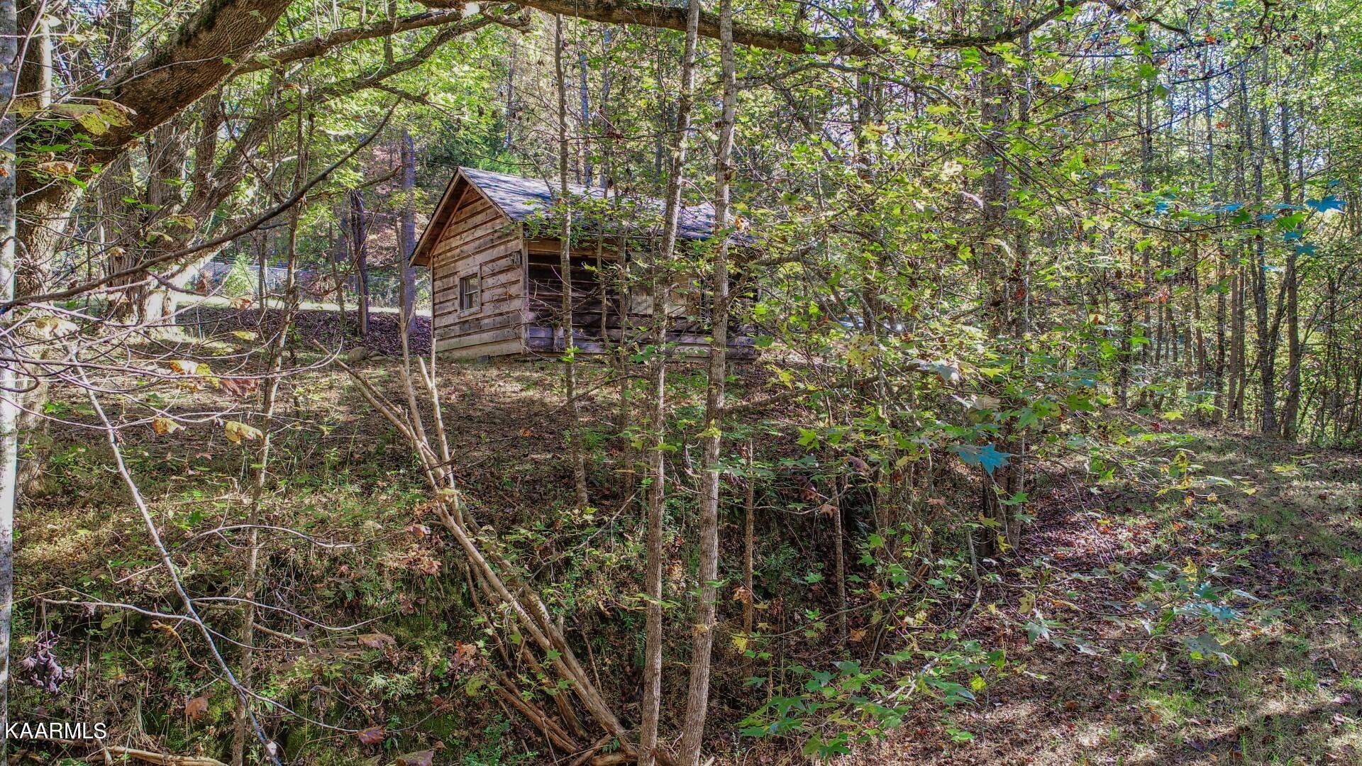 5-acres Rooster Town Road Cosby, TN 37722 - Photo 12 of 38 10.6