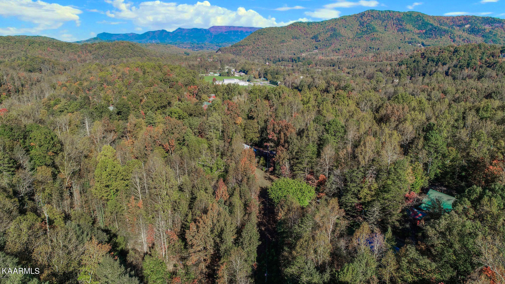 5-acres Rooster Town Road Cosby, TN 37722 - Photo 13 of 38 10