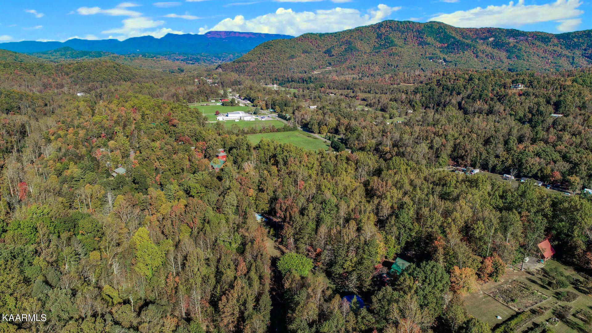 5-acres Rooster Town Road Cosby, TN 37722 - Photo 14 of 38 11