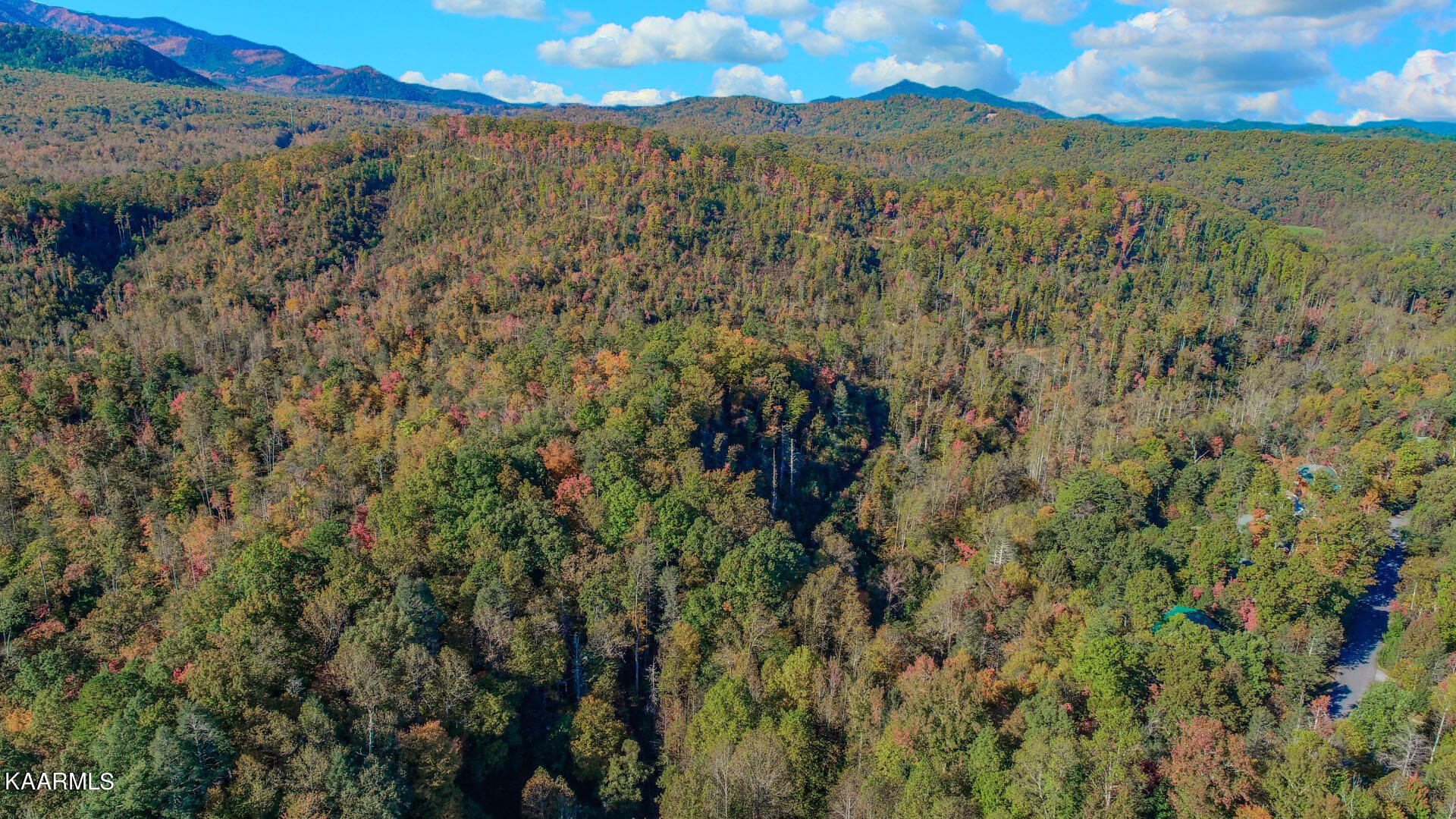 5-acres Rooster Town Road Cosby, TN 37722 - Photo 15 of 38 12