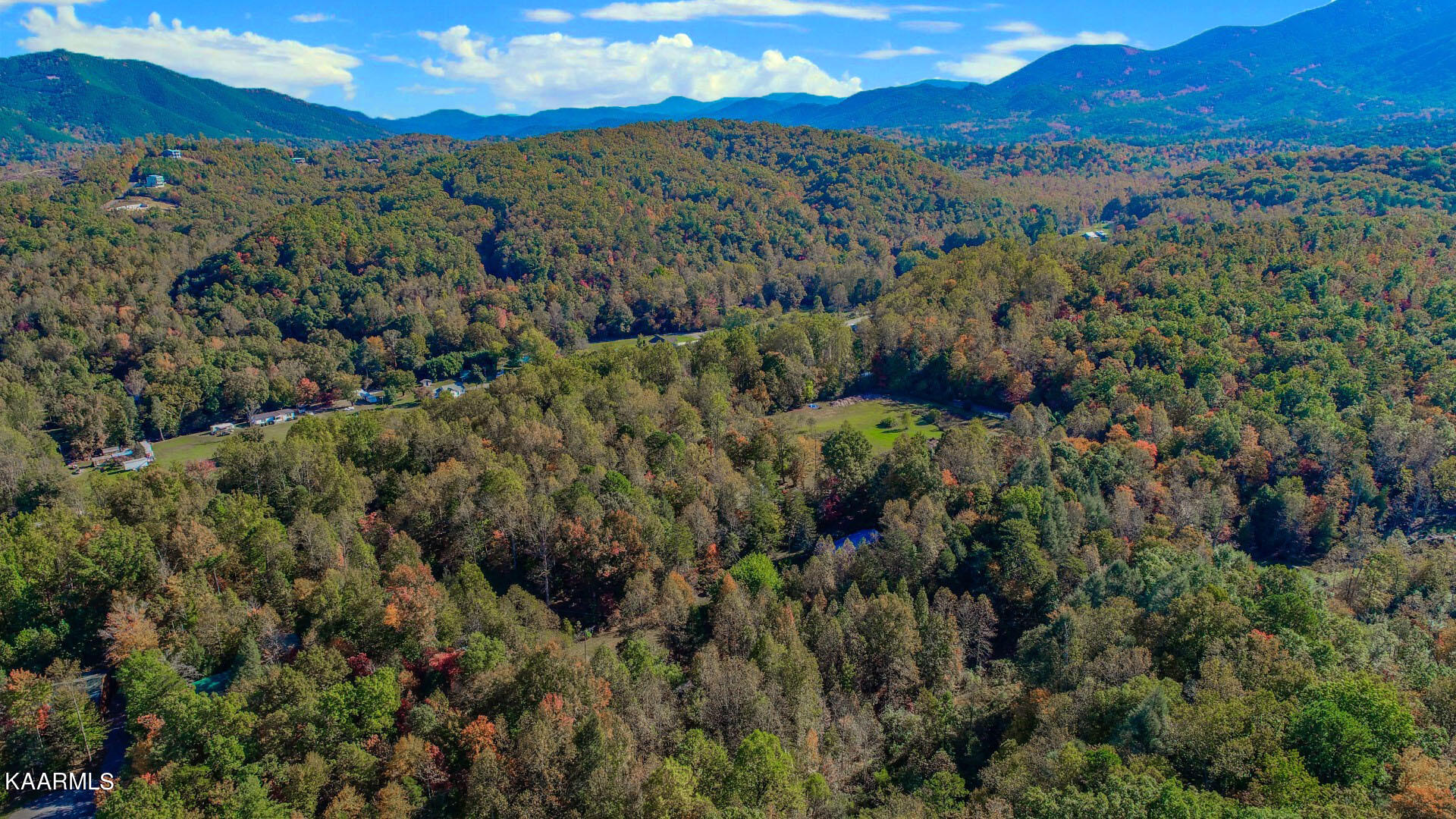 5-acres Rooster Town Road Cosby, TN 37722 - Photo 16 of 38 13