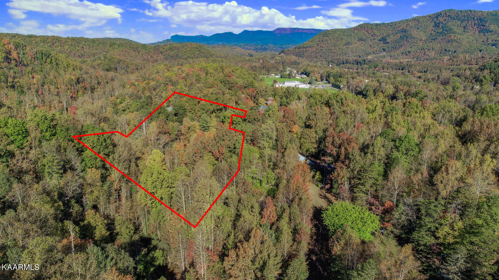 5-acres Rooster Town Road Cosby, TN 37722 - Photo 3 of 38 3.5