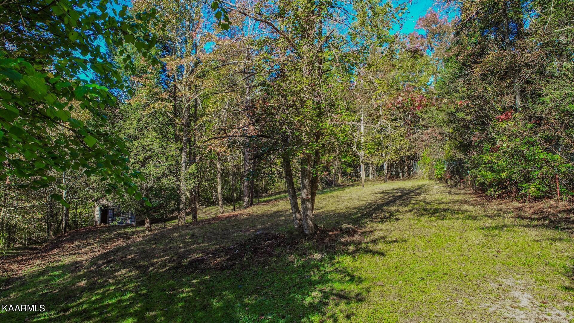 5-acres Rooster Town Road Cosby, TN 37722 - Photo 4 of 38 3