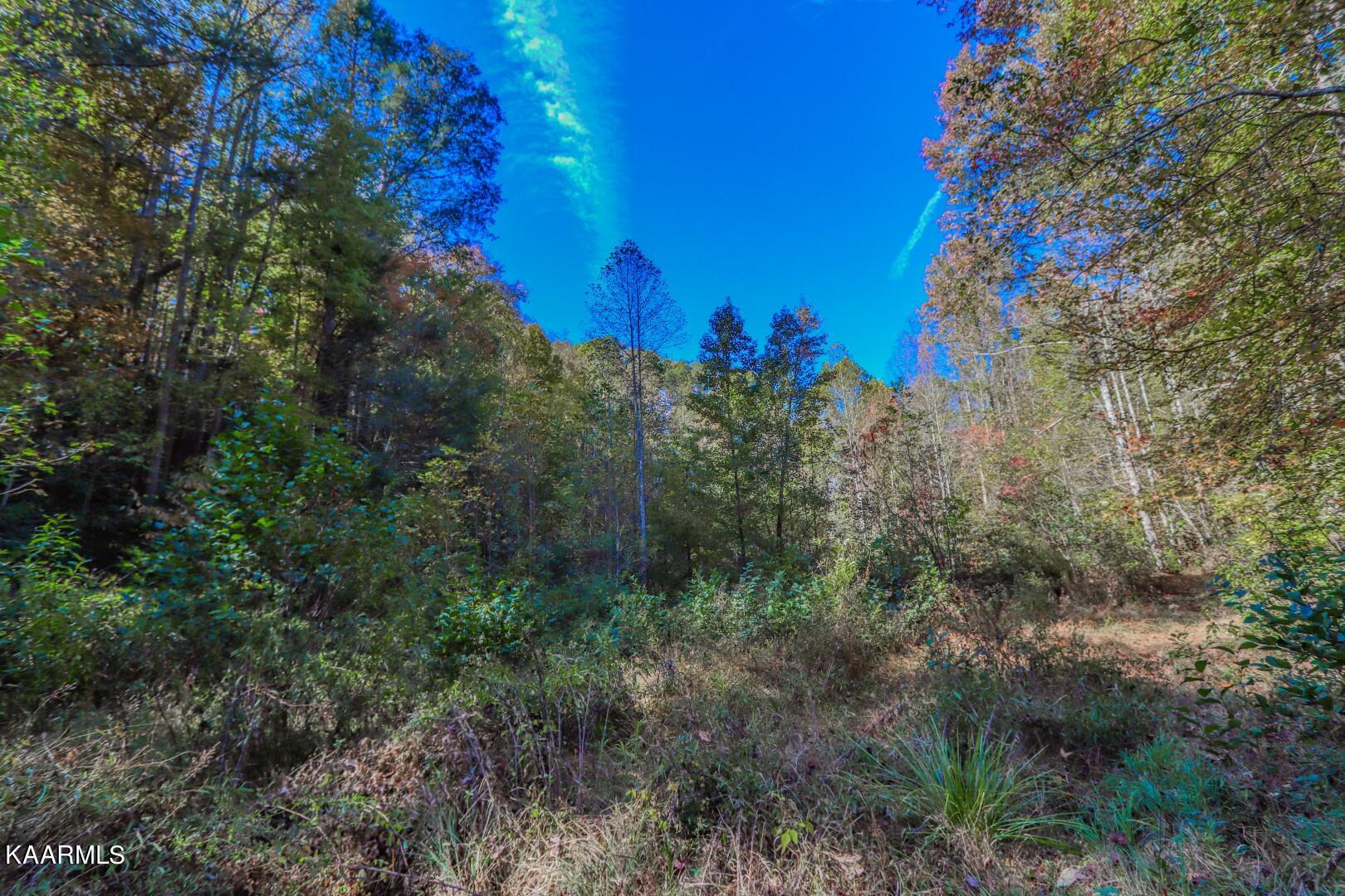 5-acres Rooster Town Road Cosby, TN 37722 - Photo 33 of 38 28
