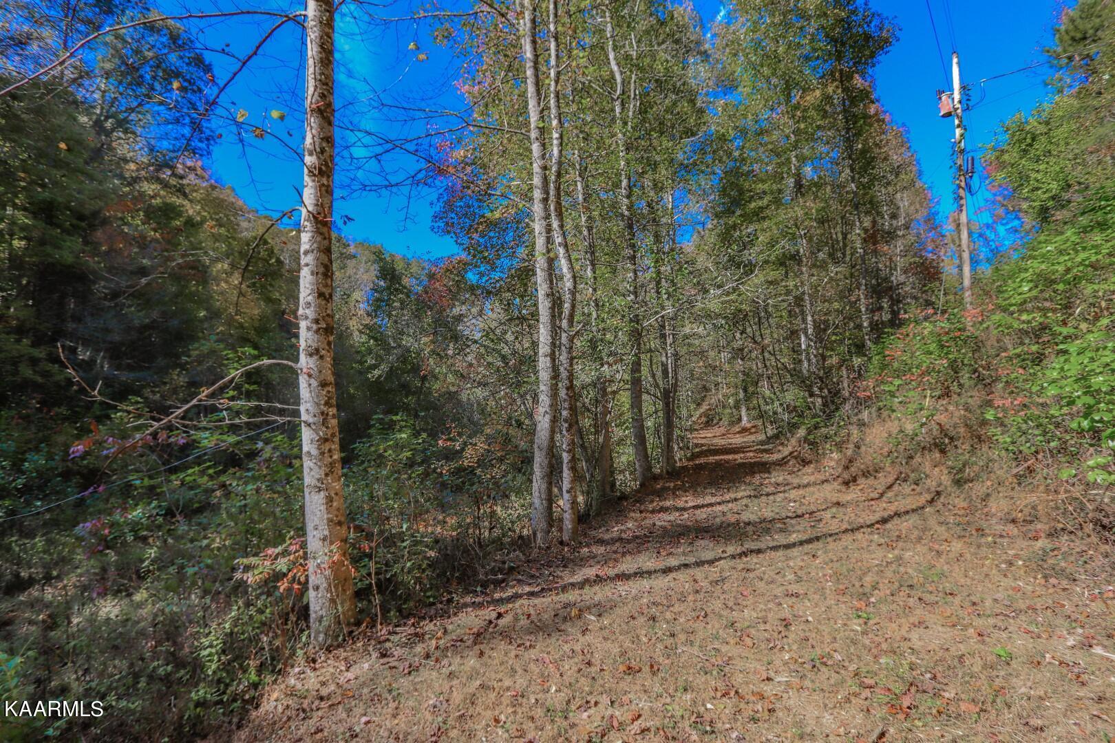 5-acres Rooster Town Road Cosby, TN 37722 - Photo 35 of 38 30
