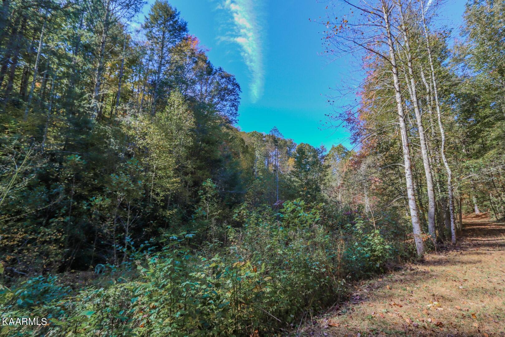 5-acres Rooster Town Road Cosby, TN 37722 - Photo 36 of 38 31