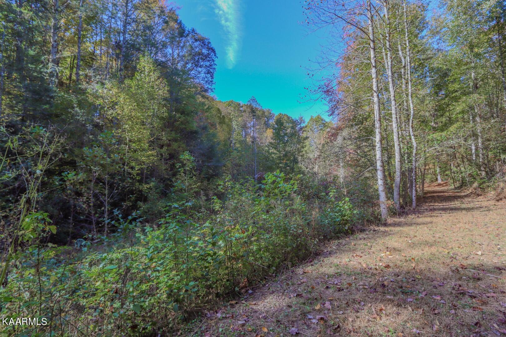 5-acres Rooster Town Road Cosby, TN 37722 - Photo 37 of 38 32