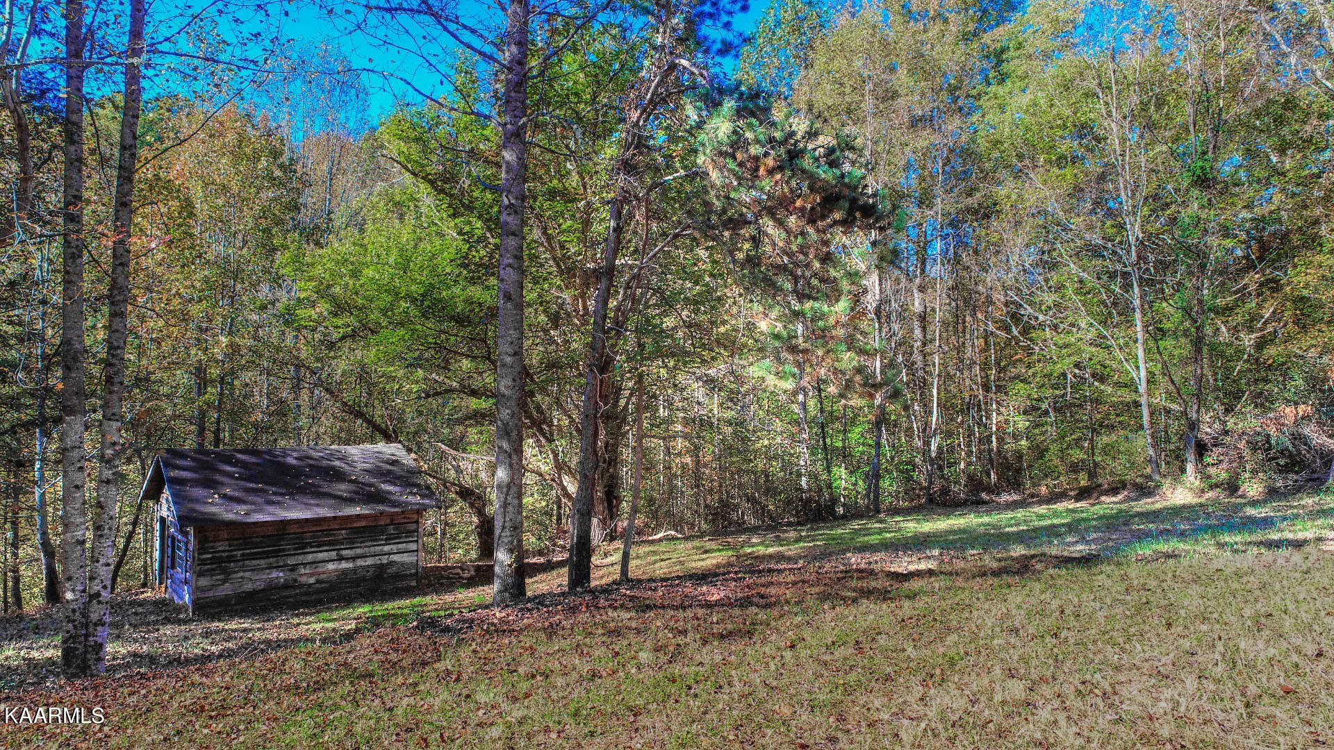 5-acres Rooster Town Road Cosby, TN 37722 - Photo 5 of 38 4