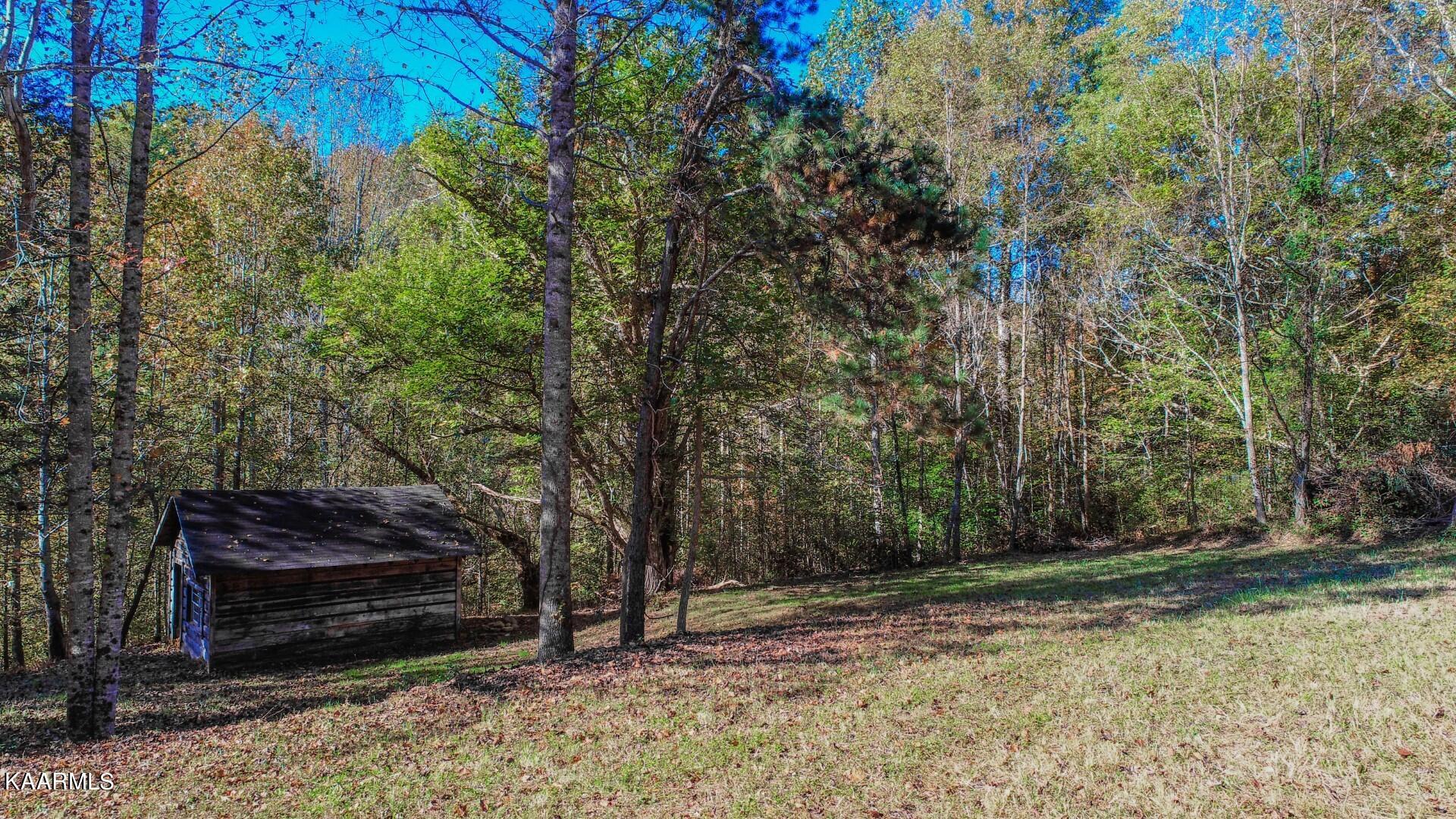 5-acres Rooster Town Road Cosby, TN 37722 - Photo 6 of 38 5